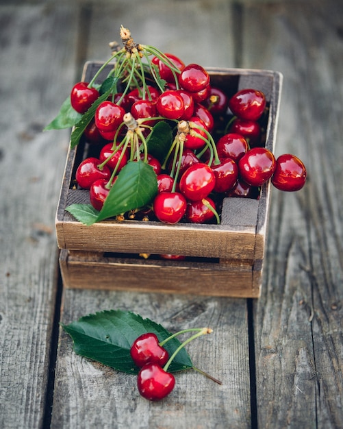 Cerezas con hojas en caja de madera vintage sobre mesa de madera rústica. Copie el espacio.