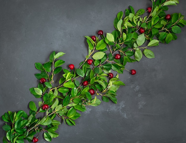 Cerezas maduras y hojas verdes sobre un fondo gris oscuro