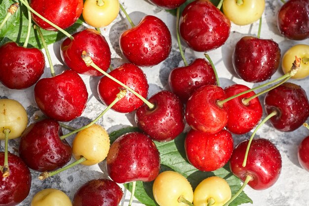 Cerezas maduras rojas y amarillas sobre fondo gris