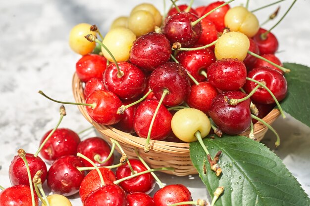 Cerezas maduras rojas y amarillas en un tazón sobre fondo gris