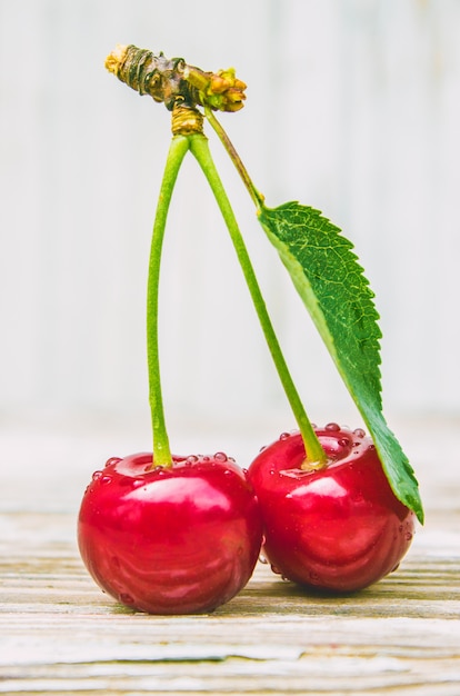 Cerezas rojas. Enfoque selectivo