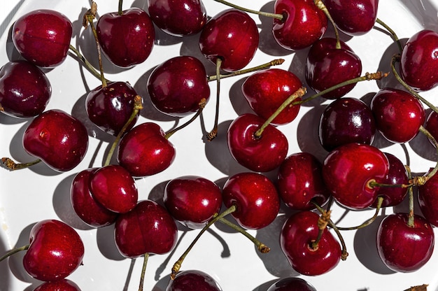 Foto cerezas rojas frescas de temporada a pleno sol