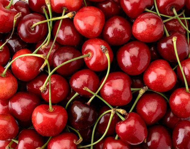 Cerezas rojas maduras