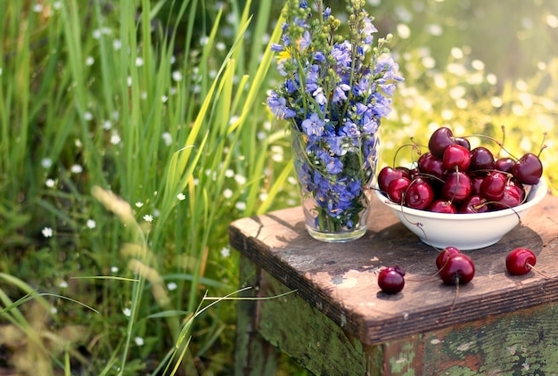 Cerezas rojas en un plato de porcelana sobre un viejo taburete de madera con un ramo de campanillas azules del bosque