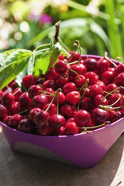 Cerezas rojas en un tazón rosa sobre mesa de madera