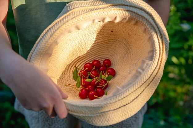 Cerezo rojo maduro en un sombrero de paja concepto cosecha de verano vitaminas de alimentos saludables