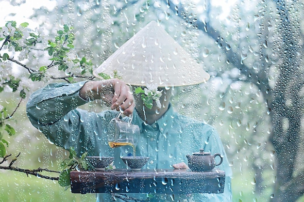 cerimônia do chá china primavera chá verde, natureza de ervas