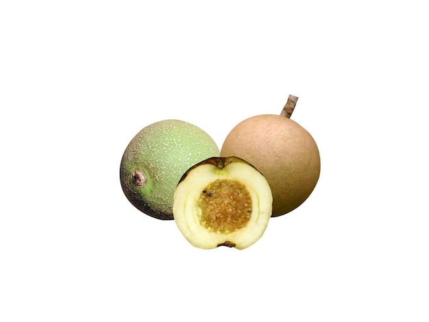 Ceriscoides turgida es un fruto inmaduro que se puede hervir y comer como alimento de hambre