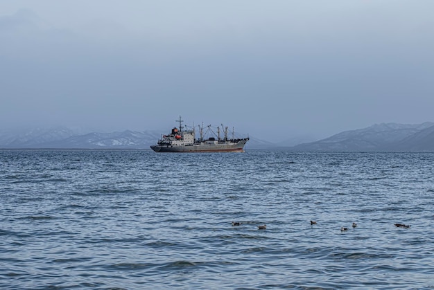 Cerqueros de pesca en la bahía de avacha en la península de kamchatka