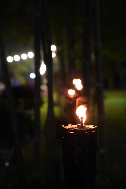 cerrar la antorcha y el fuego en el jardín de la noche