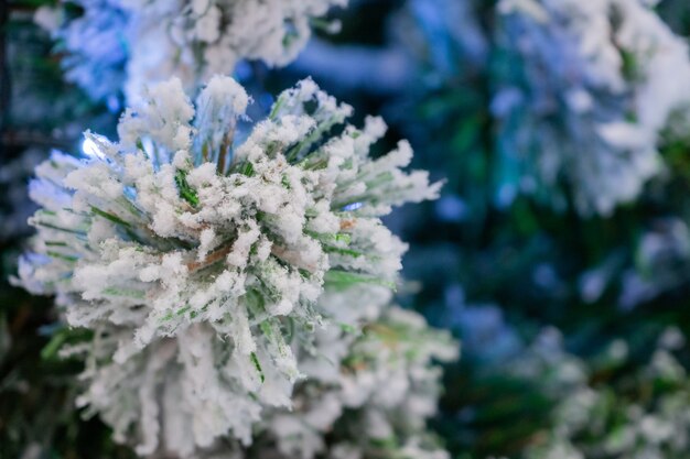 Cerrar el árbol de Navidad con nieve