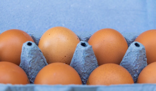 Cerrar una caja de huevos de gallina