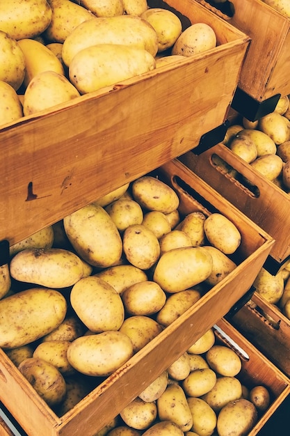 Cerrar cajas con patatas frescas en el mercado