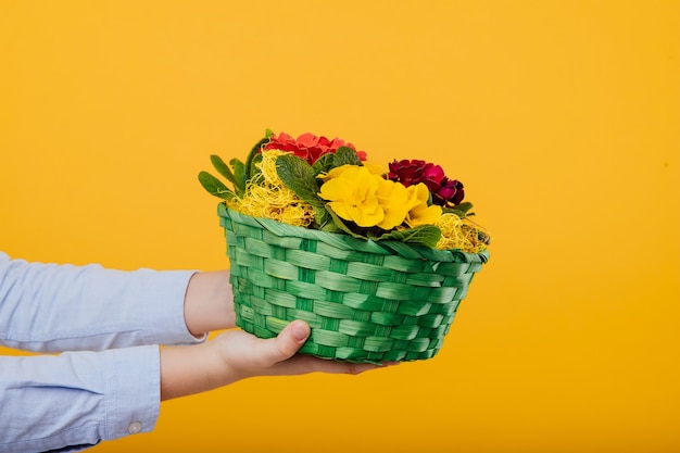 Cerrar, canasta de flores en la mano aislado en la pared amarilla