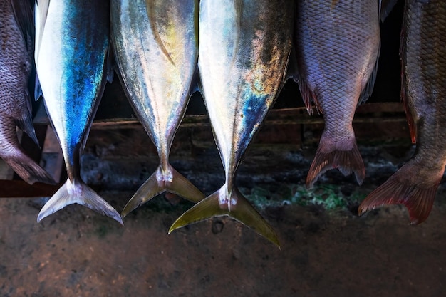 Cerrar hasta la cola de pescado