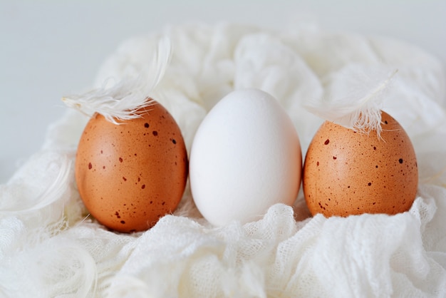 Cerrar una colección de huevos con plumas