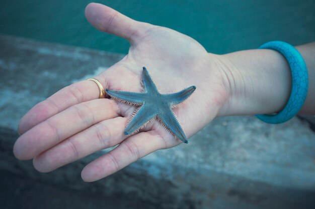 Cerrar estrella de mar en mano de mujer