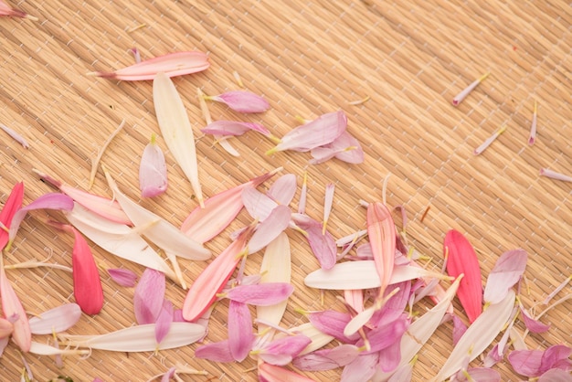 cerrar flores de colores en el salón de spa