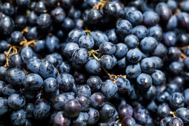 Cerrar fondo de uvas negras