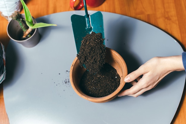 Cerrar foto de mujer poniendo tierra en maceta para plantar algunas flores