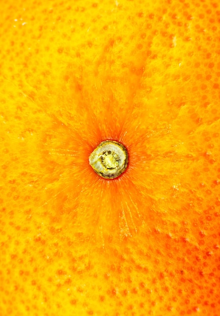 Cerrar una foto de la textura de la cáscara de pomelo. Fondo de frutas maduras exóticas, visión macro. Concepto de problema de piel humana, acné y celulitis. Fondo de pantalla de naturaleza hermosa.