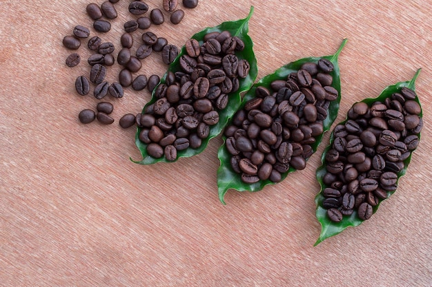 Foto cerrar granos de café y hojas verdes frescas