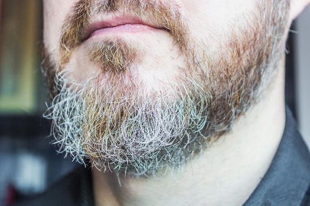 Foto cerrar imagen de barba de hombre mayor con canas en la barbilla