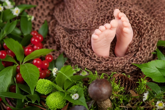 Cerrar imagen de pies de bebé recién nacido en cuadros de punto y flores, bayas, setas