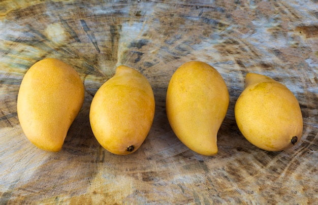 Cerrar los mangos frescos amarillos en la mesa de madera real. Fruta tropical de mango. 4 mangos.