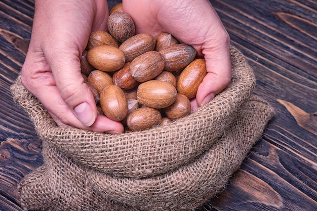 Cerrar en mano de mujer sosteniendo nueces de pacana