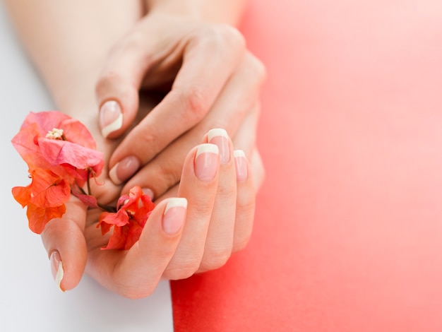 Foto cerrar las manos de mujer sosteniendo flores