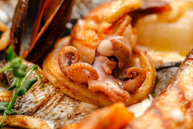 Cerrar la mezcla de salteado de mariscos con pulpo, salsa de crema y hierbas