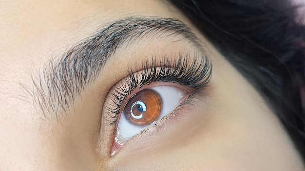 Foto cerrar el ojo con extensiones de pestañas tratamiento de salón de belleza 2d volumen 3d volumen pestañas clásicas volumen ruso megavolumen nuevo conjunto