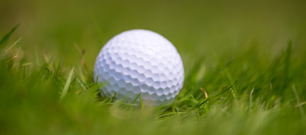 Cerrar pelota de golf en el césped