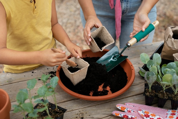 Foto cerrar el proceso de trasplante de plantas