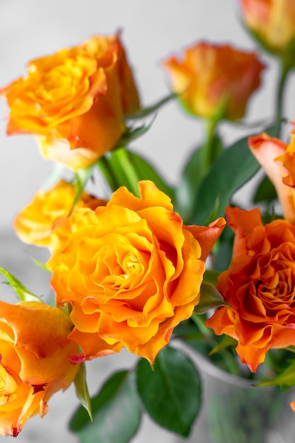 Cerrar ramo de flores color de rosa amarillo anaranjado en florero de vidrio fondo gris luz del día