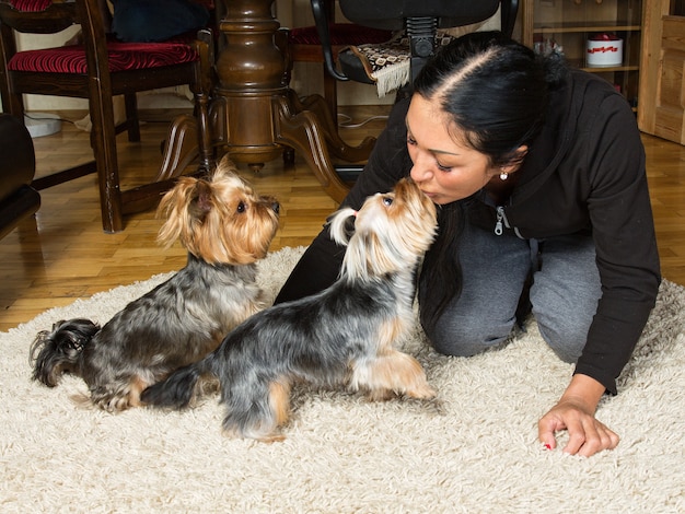 Cerrar el retrato de una mujer - yorkshire terrier criador kissin