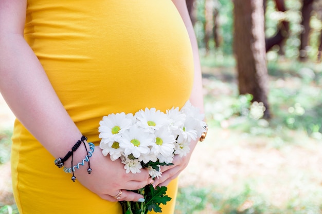 Cerrar sobre la barriga de la mujer embarazada, con un vestido amarillo, sosteniendo en las manos ramo de flores de manzanilla al aire libre, nuevo concepto de vida