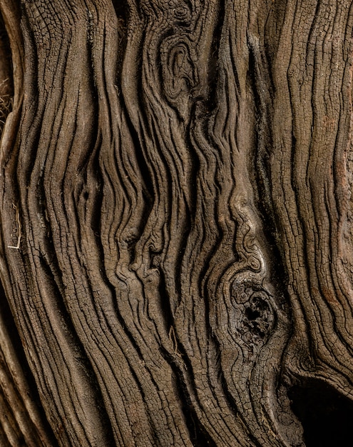 Foto cerrar textura de madera vieja