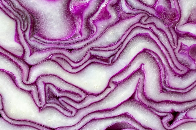 Cerrar textura de repollo morado