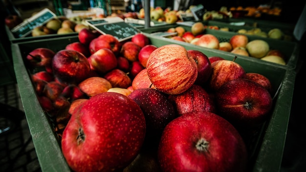 Cerrar vista enfoque selectivo de deliciosas manzanas rojas en la tina