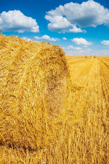 Cerrar vista sobre fardos de paja y campo cosechado