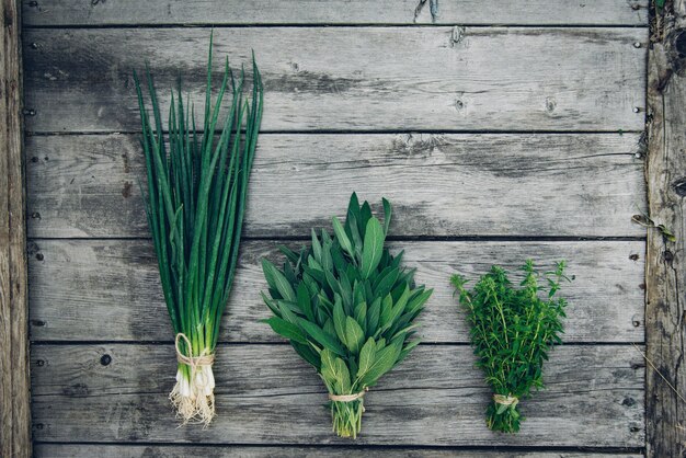 Cerrar vista sobre racimos de hierbas frescas. Cebolla verde, tomillo, salvia.