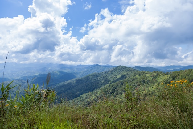 Cerro de las montañas