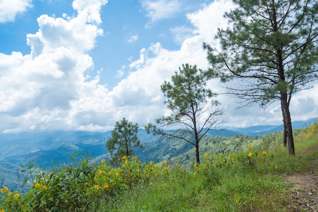 Cerro de las montañas