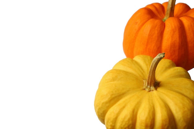 Cerró un par de calabazas maduras de colores vivos sobre fondo blanco con espacio libre