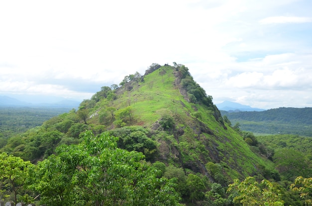 Cerro verde y montaña