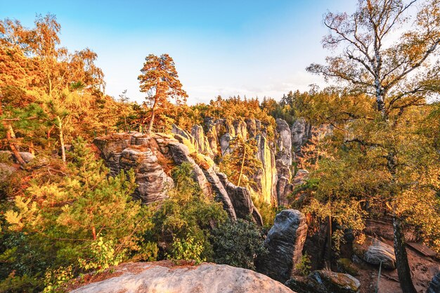 Cesky raj Sandsteinfelsen Prachovske skaly im Sommer Sonnenuntergang Tschechien Felsenlabyrinth ist Touristenattraktion im Böhmischen Paradies Tschechien