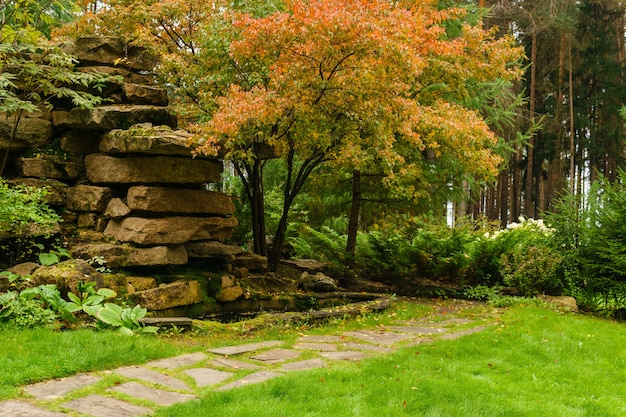 Césped entre arbustos de coníferas decorativos con un camino y piedra artificial de losas de piedra