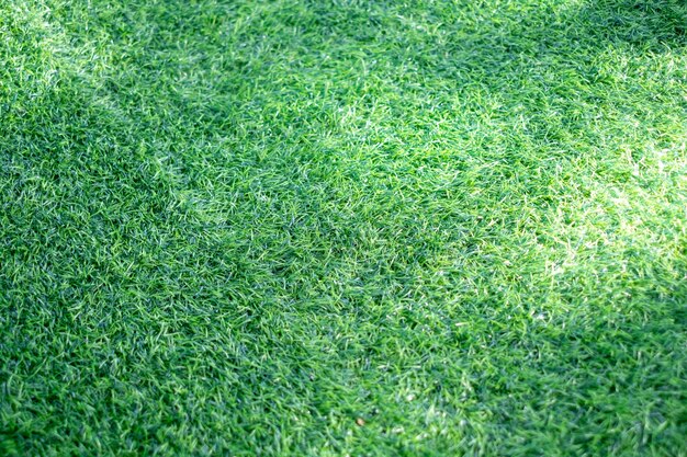 El césped artificial es verde y soleado textura de fondo de sombra de árbol de otoño